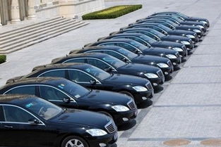 麗水市印發(fā)新能源汽車(chē)推廣計(jì)劃 2016年目標(biāo)超900輛，廣州汽車(chē)租賃行業(yè)積極響應(yīng)